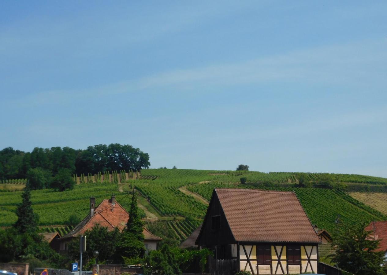 Gewurztraminer - Studio Au Pied Du Vignoble - Renove Recemment - Parking Gratuit Riquewihr Exterior foto